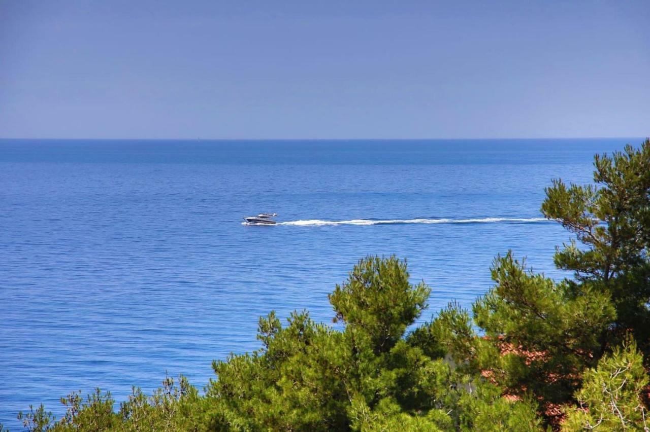 Redstone Luxury Apartments Sveta Nedelja  Εξωτερικό φωτογραφία