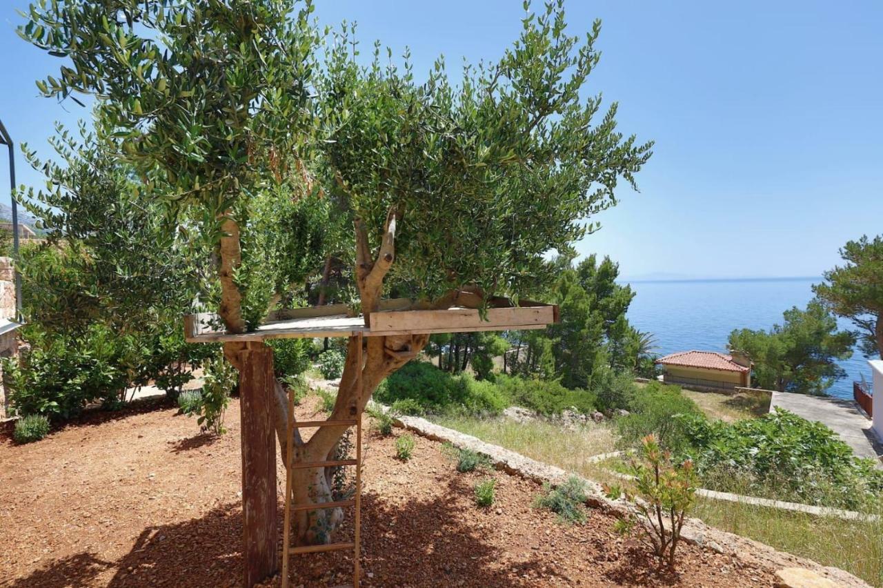 Redstone Luxury Apartments Sveta Nedelja  Εξωτερικό φωτογραφία